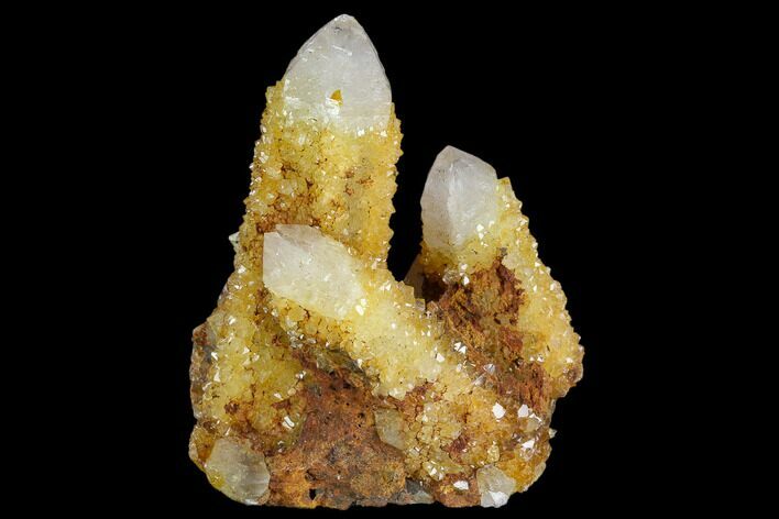Sunshine Cactus Quartz Crystal Cluster - South Africa #122366